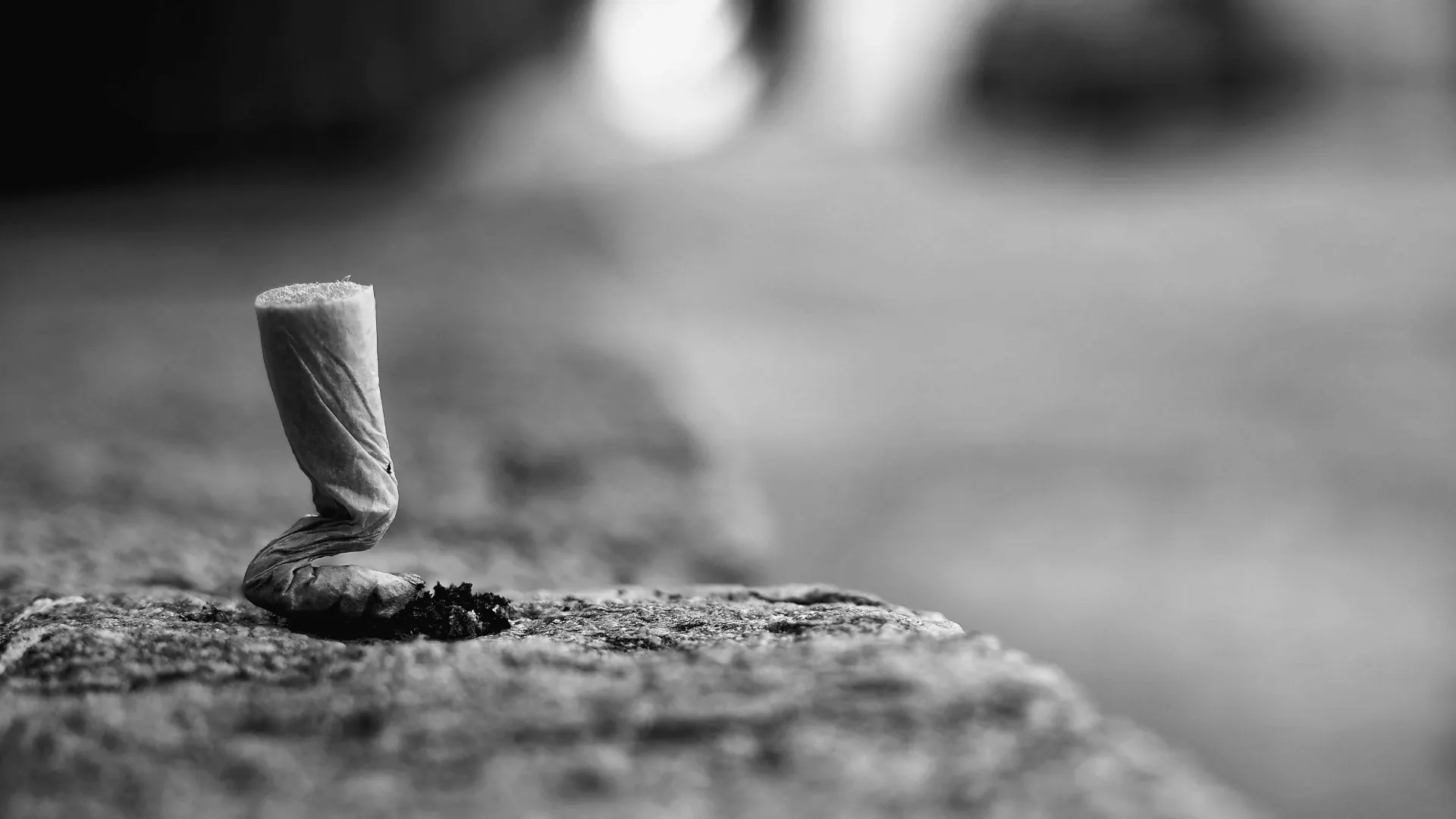 Closeup shot of a used cigarette butt.